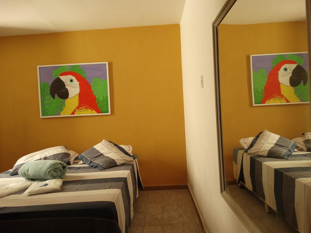 Art Rio Albergue *